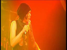 HIM Soul On Fire (Live Hamburg 2003)